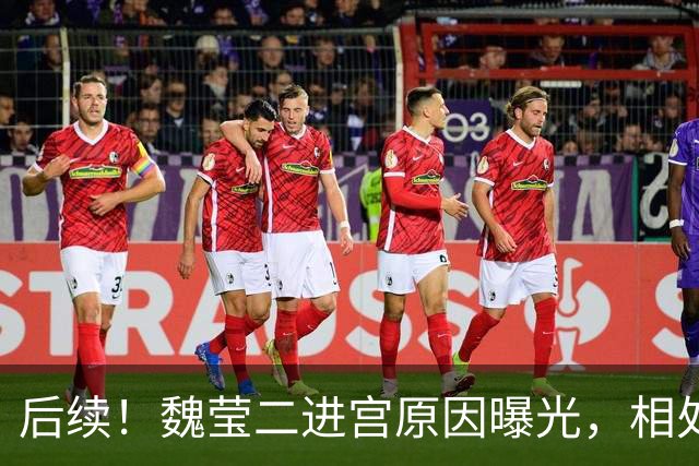 后续！魏莹二进宫原因曝光，相处一年没发生关系谈崩，家属透更多